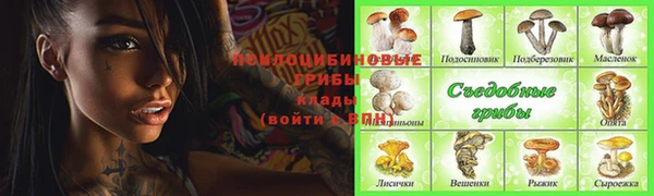 трава Каменка